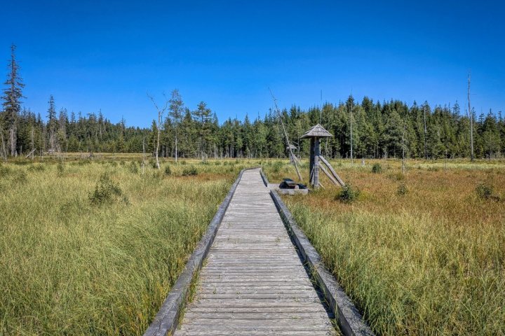 Rezerwat Torfowisko pod Zieleńcem